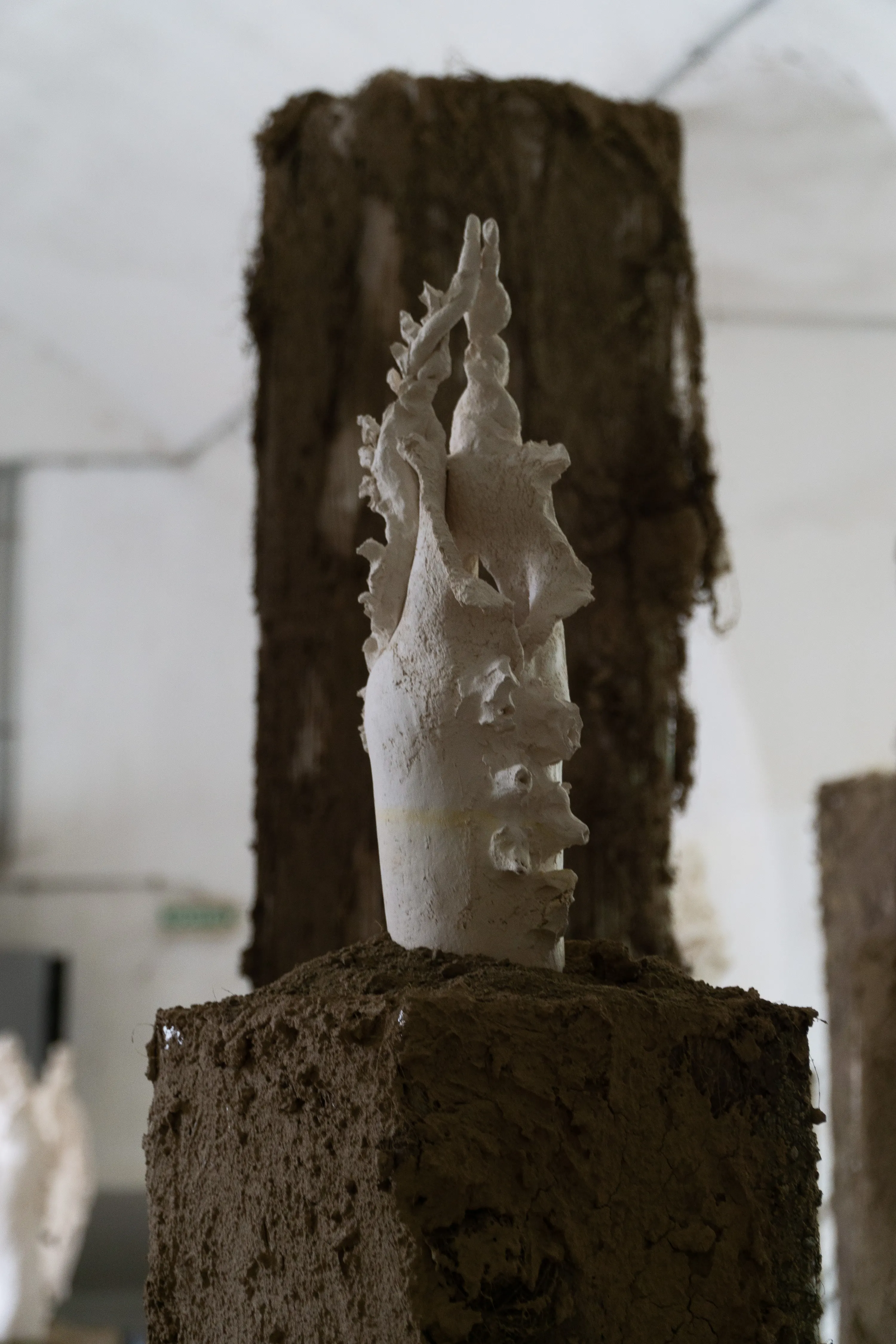 Le Jardin clos, 2023. céramique grès blanc, socle en carton, chanvre et terre végétale, dimensions variables. Photo © Margot Anquez Bariseau