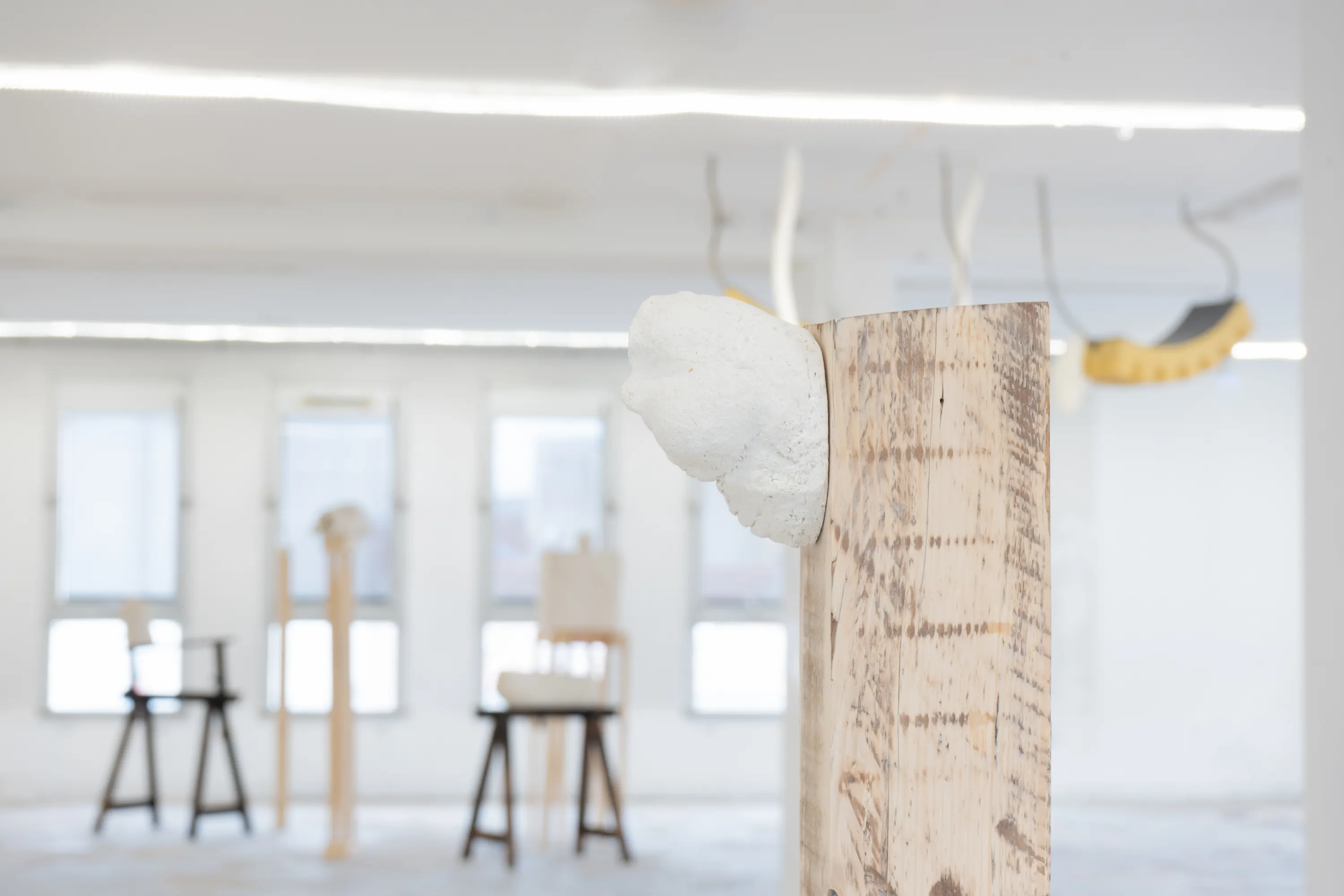 Vue d'exposition, Vivos voco — J'en appelle au vivant, Tour Orion, Montreuil, 2024. Photo © Pierre Sérot